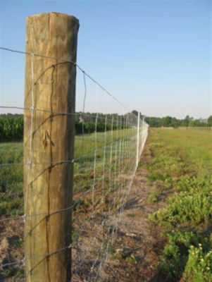 fencing in rocky terrain