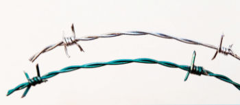 Protective wire coatings