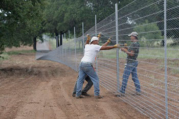 Tips And Tricks For Fence Building