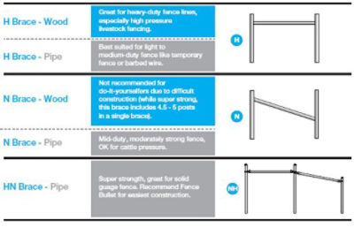 Brace Styles Graphic