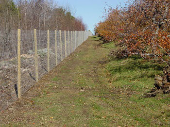 Fence cost-per-foot