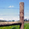 14 ga 2640' Electric Fence Wire