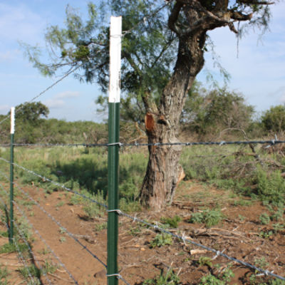 Gaucho® 20 15.5 ga 2-Point 5" Spacing High Tensile Barbed Wire