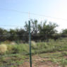 Gaucho® 20 15.5 ga 2-Point 5" Spacing High Tensile Barbed Wire