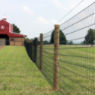 Horseman® 40 1348-2 12.5 ga 200' Horse Fence