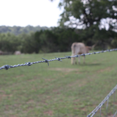 Cattleman® Pro 20 14 ga 2-Point 5" Spacing High Tensile Barbed Wire