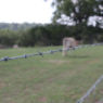 Cattleman® Pro 20 14 ga 2-Point 5" Spacing High Tensile Barbed Wire