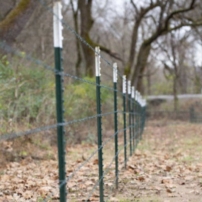 bare wire fence