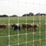 Solidlock® Pro 30 1561-6 12.5 ga 330' High Tensile Fixed Knot Game Fence