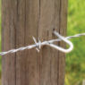 Bekaert 1.75" 8 ga Double Barbed Staples (8 lb bucket)