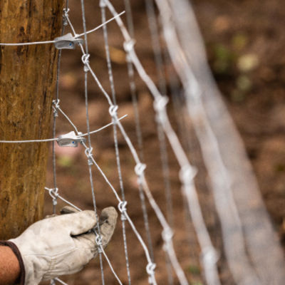 Solidlock® Pro 30 1348-6 12.5 ga 500' High Tensile Fixed Knot Cattle Fence