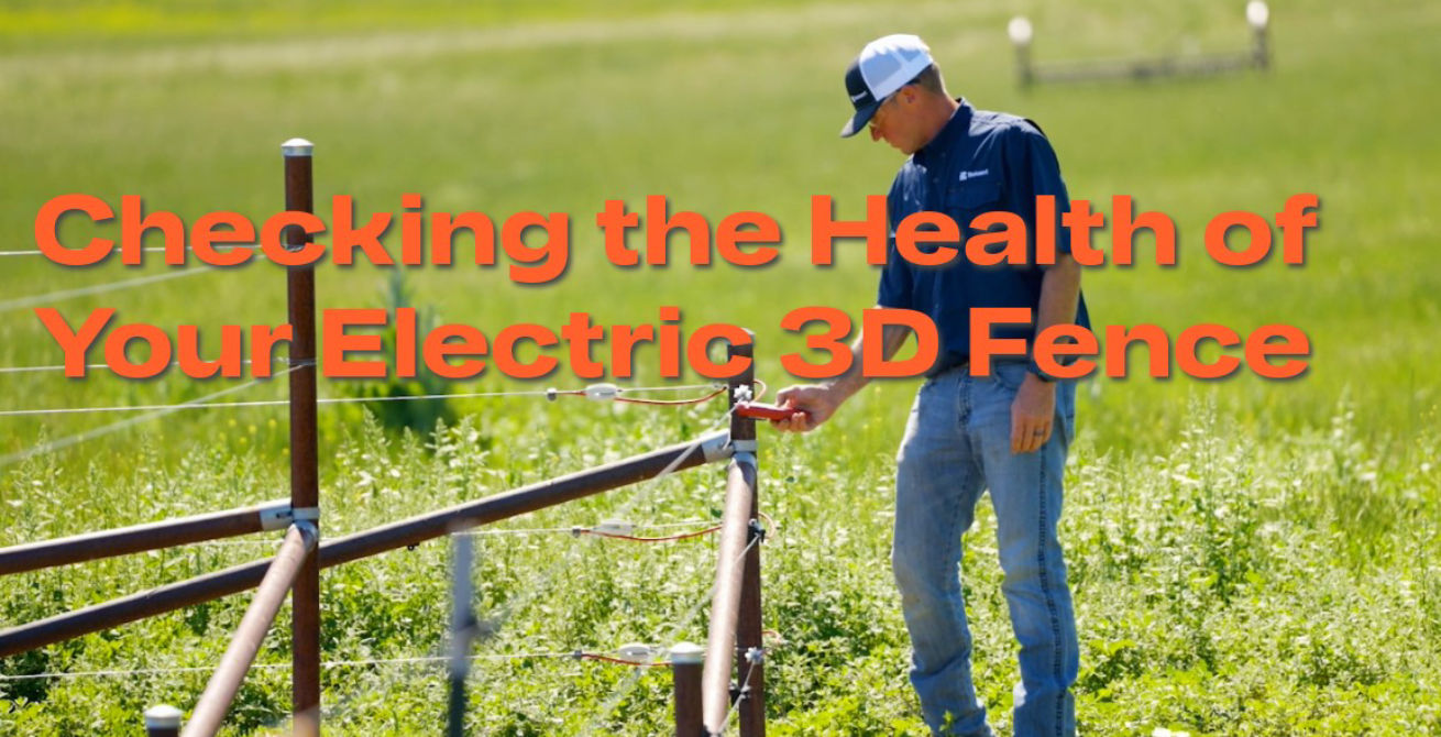 Checking the Health of Your 3D Fence