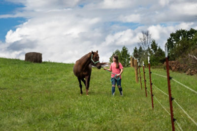 Electric fencing