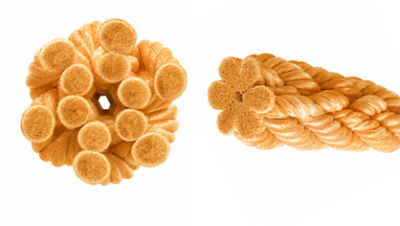 Dynamica FORTUNA HMPE rope