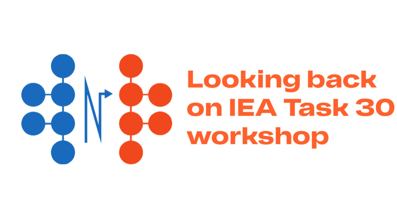 Exciting highlights from the IEA Task 30 workshop on water electrolysis in Sweden