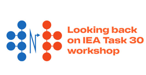 Exciting highlights from the IEA Task 30 workshop on water electrolysis in Sweden