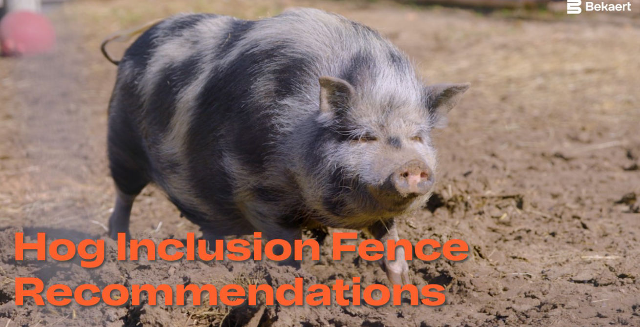 Fence Recommendations for Hogs/Pigs