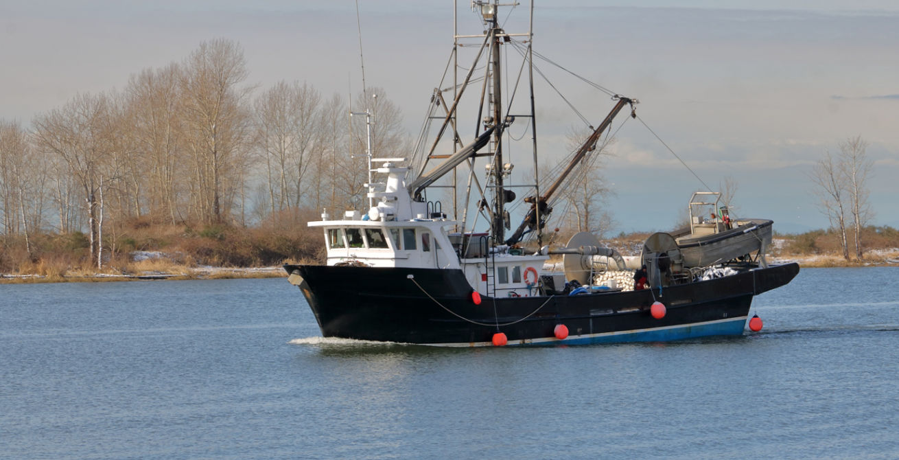 Purse Seine