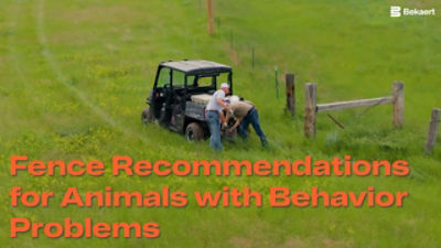 Fence Recommendations for Animals with Behavior Problems
