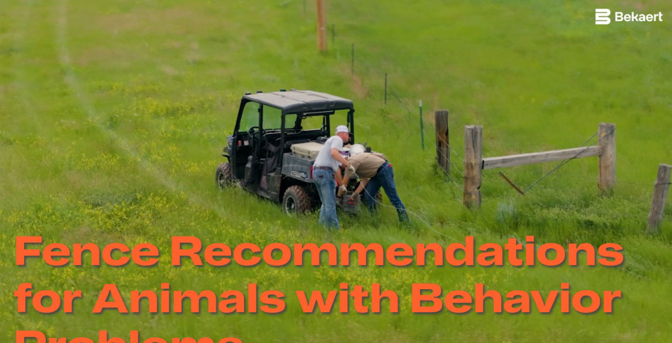 Fence Recommendations for Animals with Behavior Problems