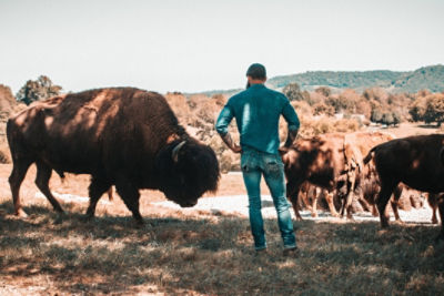Childhood Dream a Reality on Bullbourne Bison Ranch | Bekaert Fencing