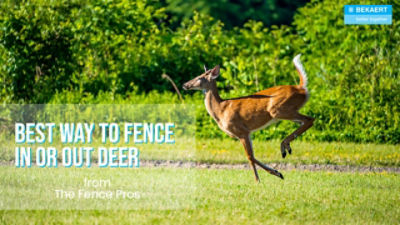 Best Fencing to Keep Deer Out 