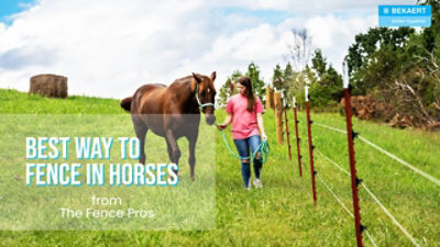 Best Fencing for Horses