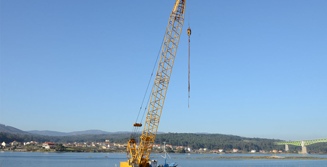 Crawler Cranes