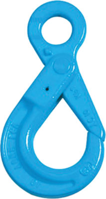 Grade 100 Lifting Hooks