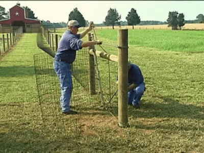 Install High Tensile Horse Fence