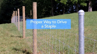 Wire deals fence staples