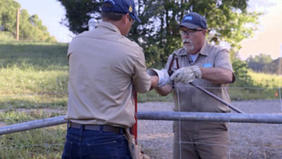 Tension a High Tensile Fence