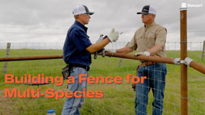 Building a Fence for Multi-Species
