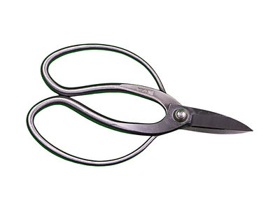 Scissors