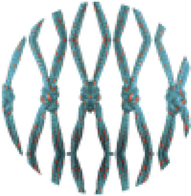 Olivene MK3 Netting Twine