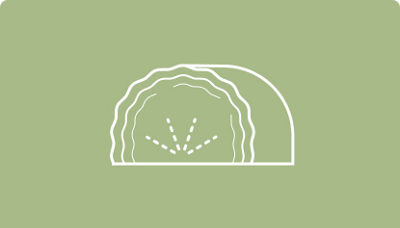 Segment card image