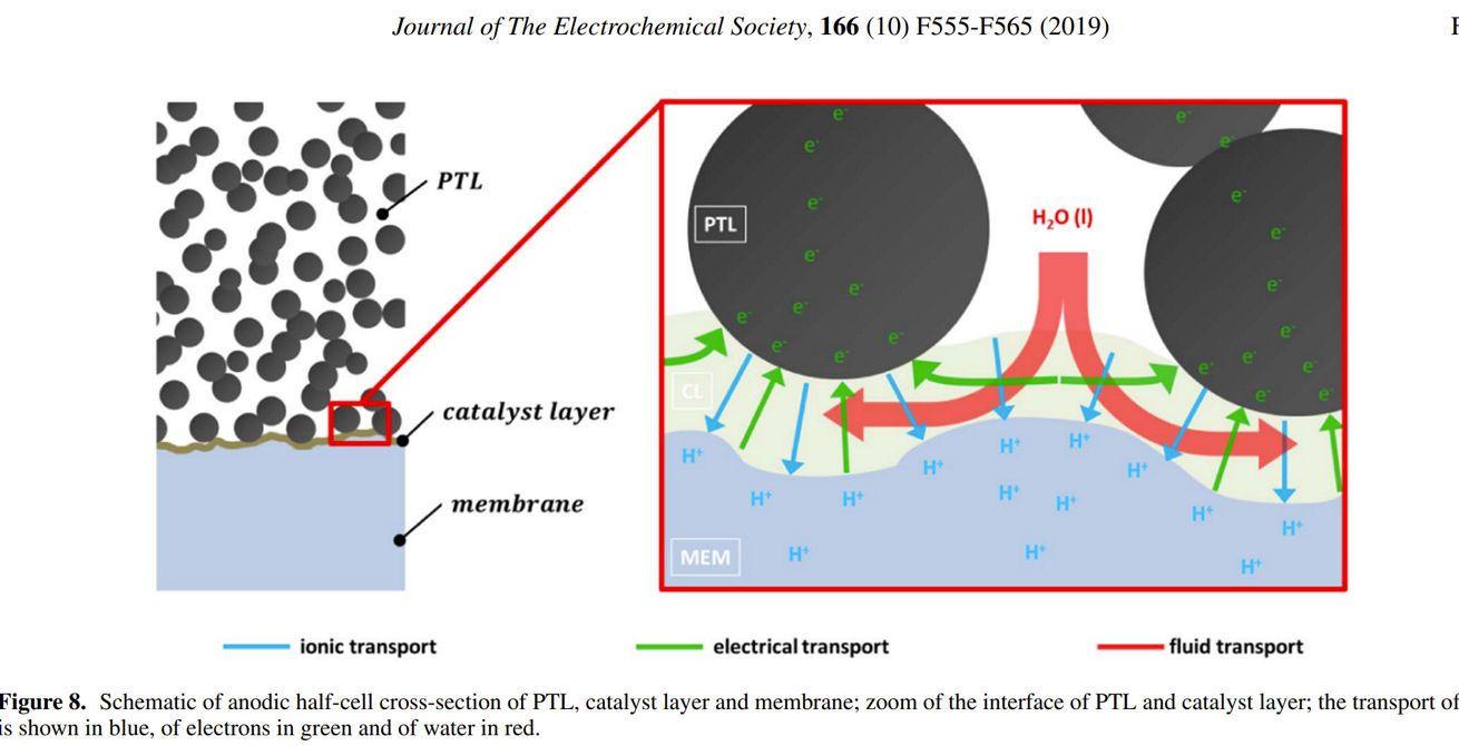 Polymer Electrolyte Water Electrolysis: Correlating Porous Transport Layer Structural Properties and Performance: Part II Tomographic Analysis of Morphology and Topology