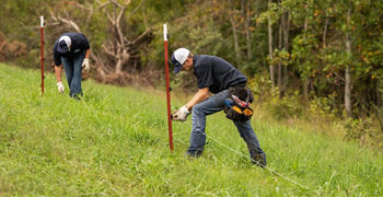 Effective Electric Fencing Solution | Bekaert Fencing