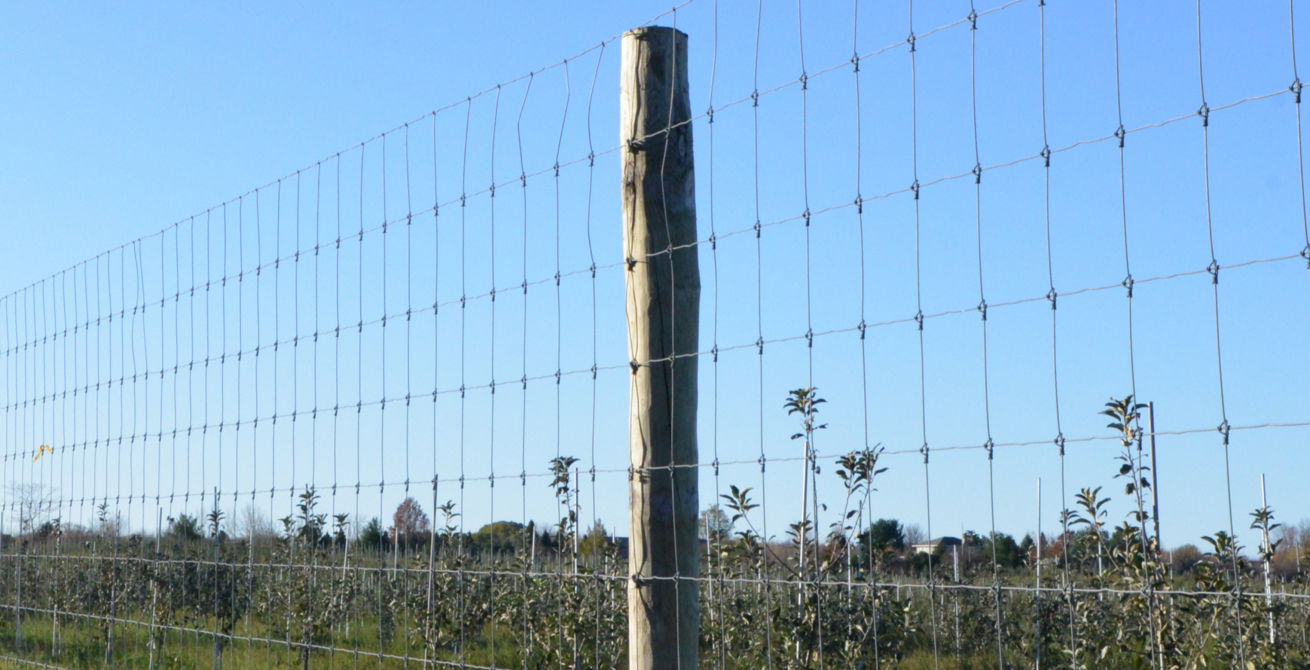 Fruit & Vegetable Exclusion Fence Requirements | Bekaert Fencing