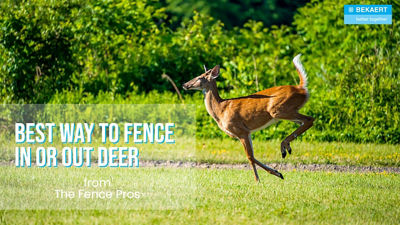 Best Fencing to Keep Deer Out