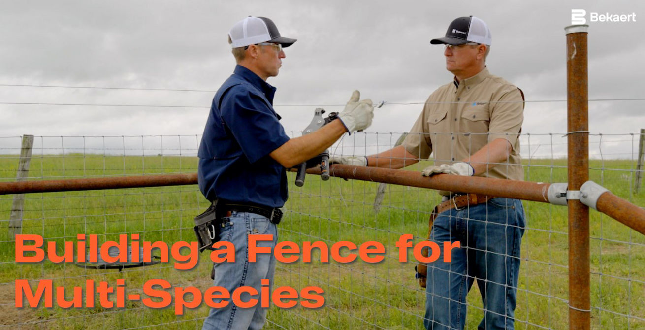 Building a Fence for Multi-Species